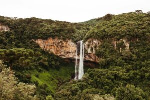 waterfall flowing from a cliff in jungle cascata do caracol brazil